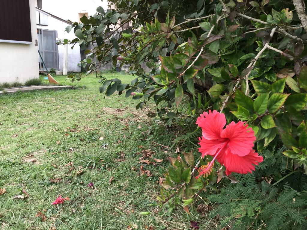 Natural Factory Okinawa Zewnętrze zdjęcie